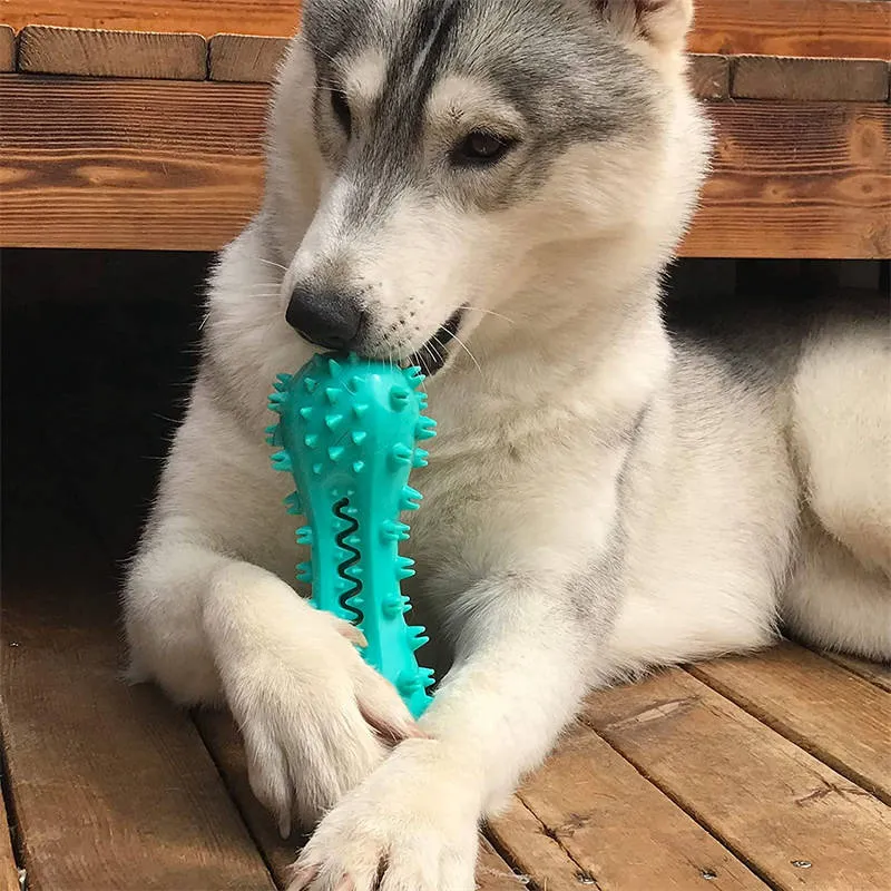 Chew Toys for Aggressive Chewers | Teething & Soothing Flexible Toy