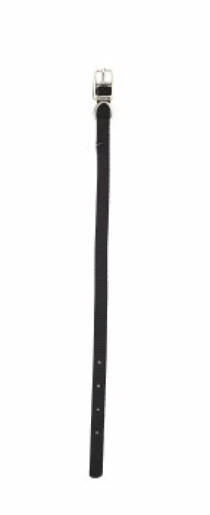 Coastal Black Nylon Collar 10" Black