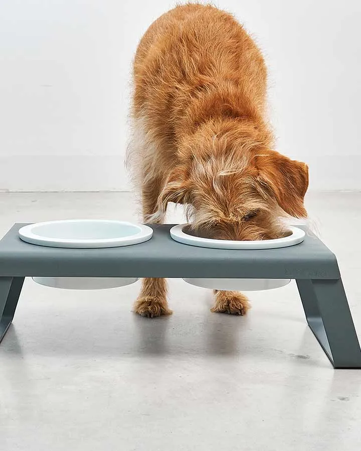 Dog Feeder - Porcelain - Medium (Grey) - Desco from Miacara