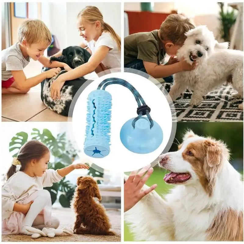 Interactive Dog Chew Ball Toys For Aggressive Chewers With Suction Cup