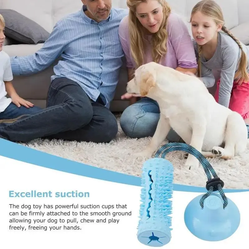 Interactive Dog Chew Ball Toys For Aggressive Chewers With Suction Cup
