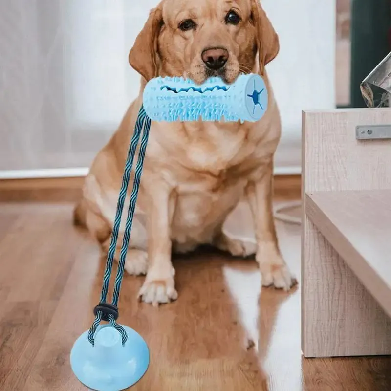 Interactive Dog Chew Ball Toys For Aggressive Chewers With Suction Cup