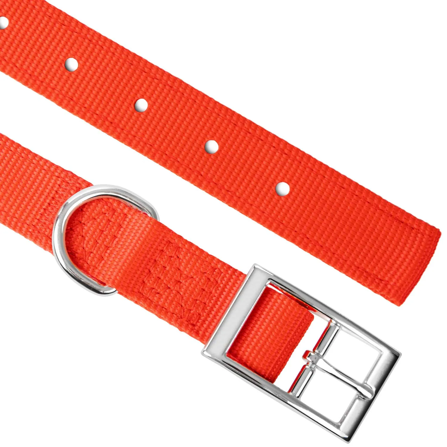 Jeffers 1" Wide Dog Collar, 16"L