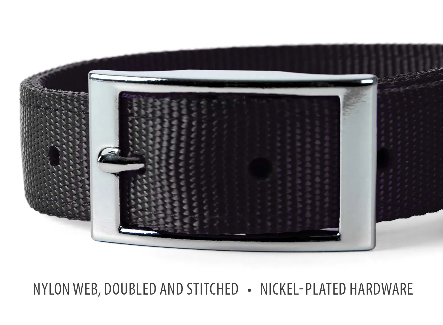 Jeffers 1" Wide Dog Collar, 16"L