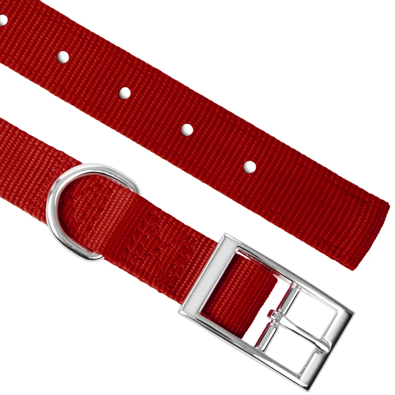 Jeffers 1" Wide Dog Collar, 16"L