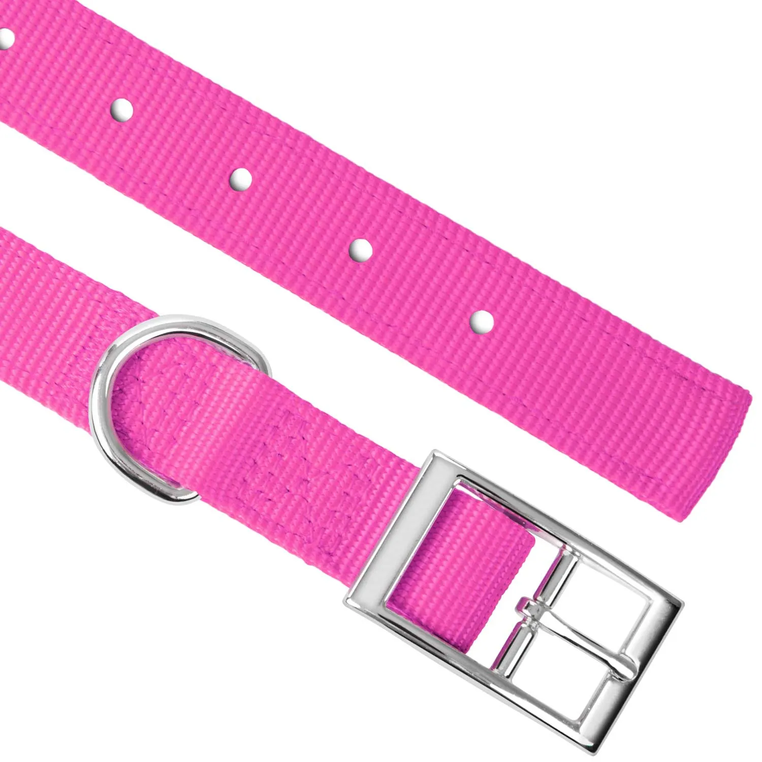 Jeffers 1" Wide Dog Collar, 16"L