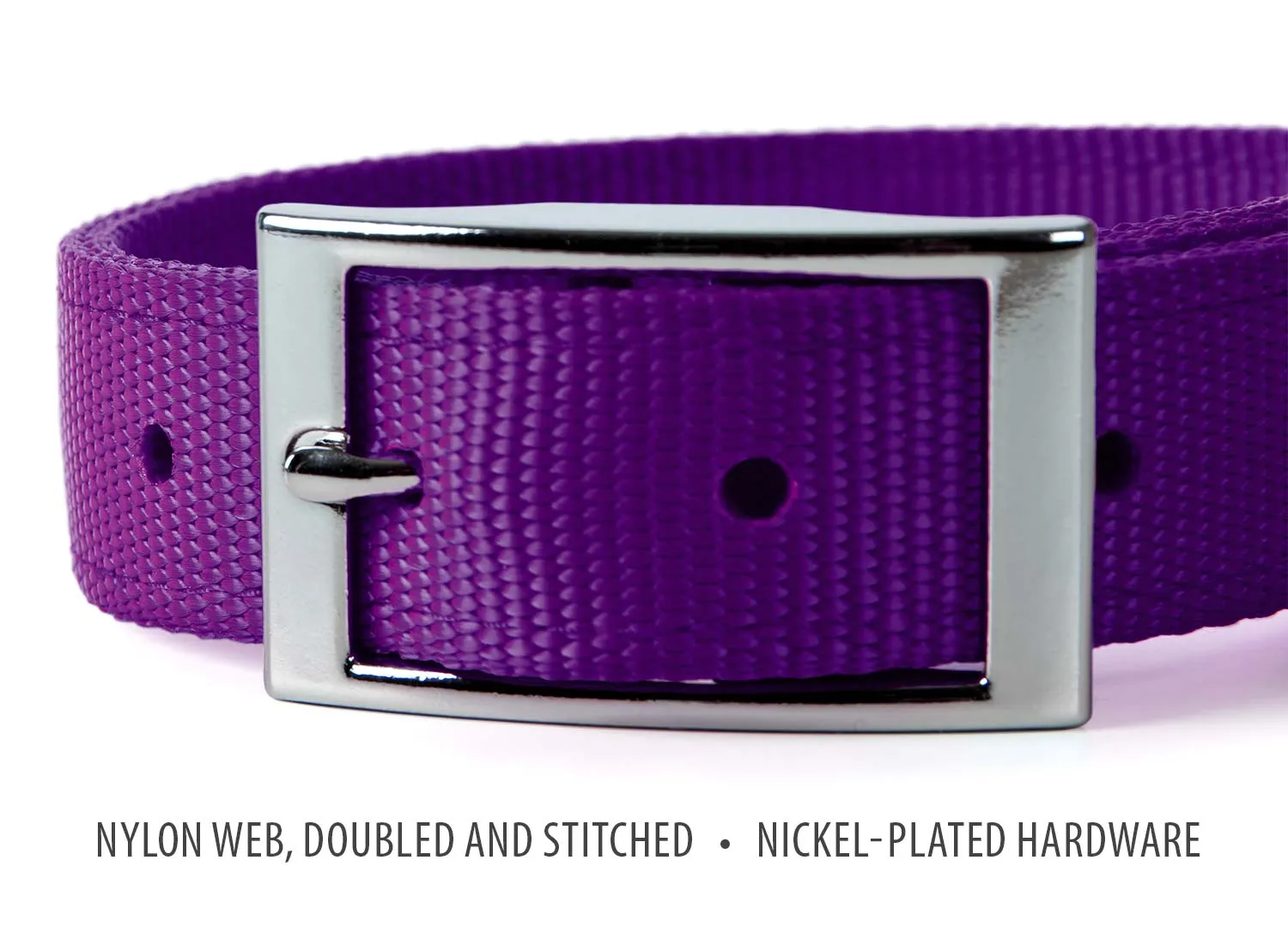 Jeffers 1" Wide Dog Collar, 16"L