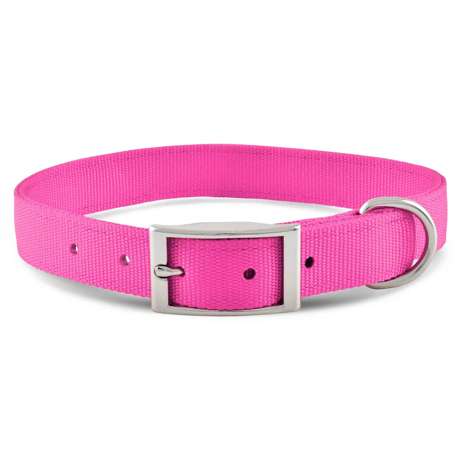 Jeffers 1" Wide Dog Collar, 16"L