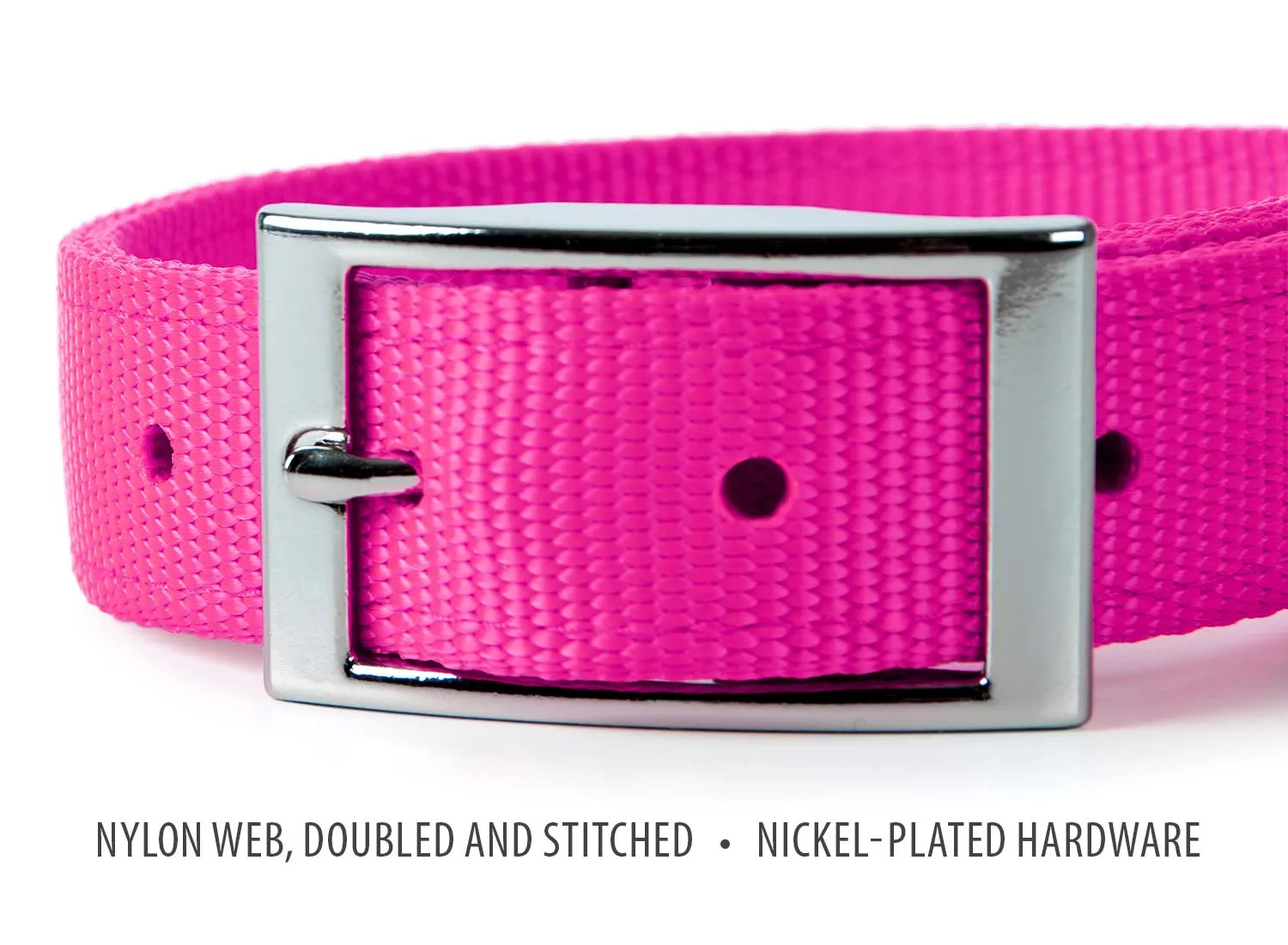 Jeffers 1" Wide Dog Collar, 16"L