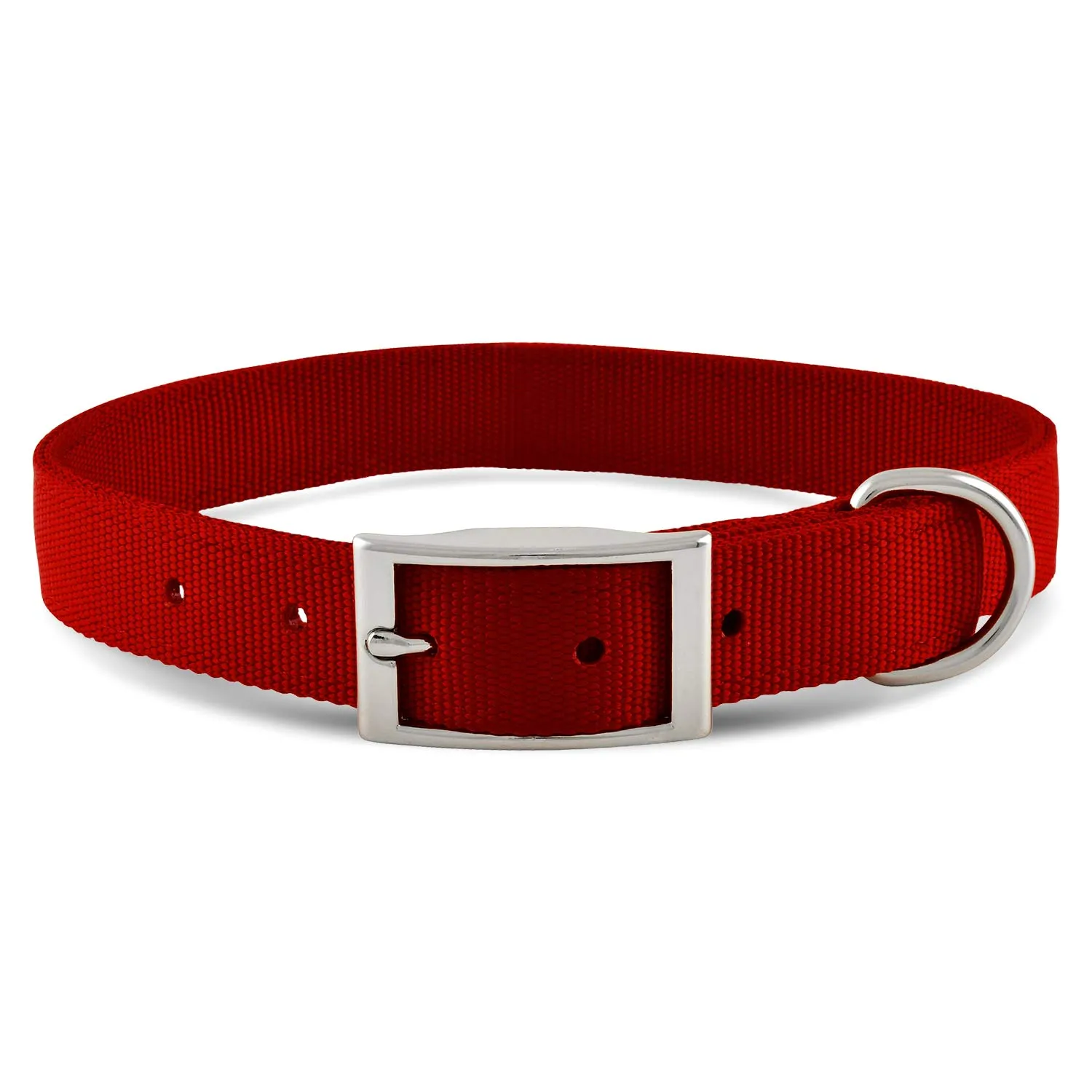 Jeffers 1" Wide Dog Collar, 16"L