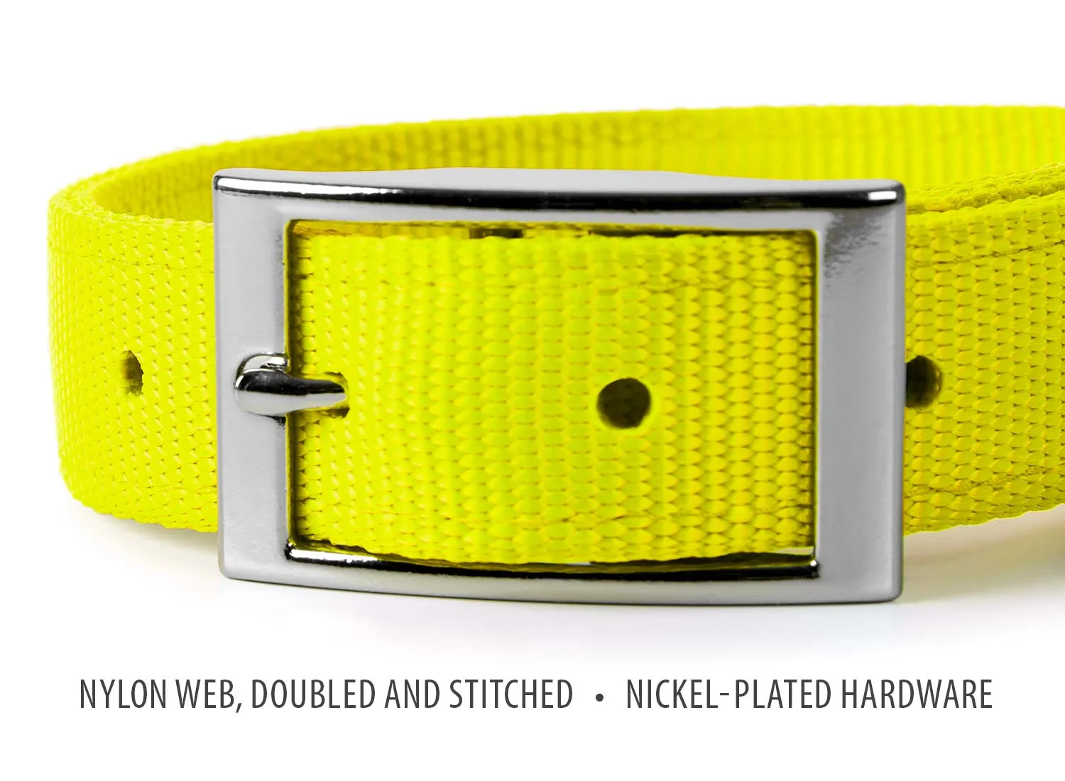 Jeffers 1" Wide Dog Collar, 16"L