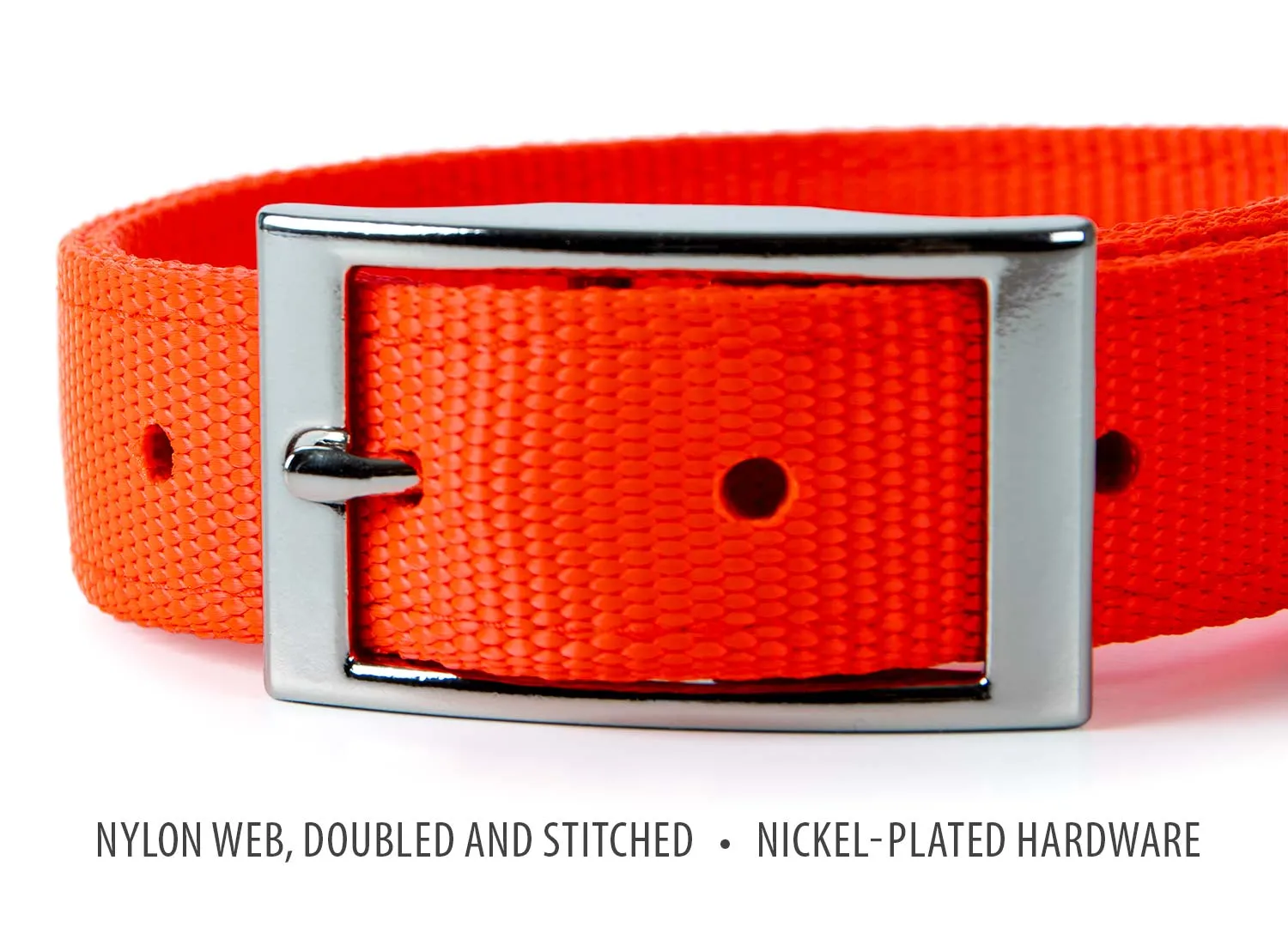 Jeffers 1" Wide Dog Collar, 16"L