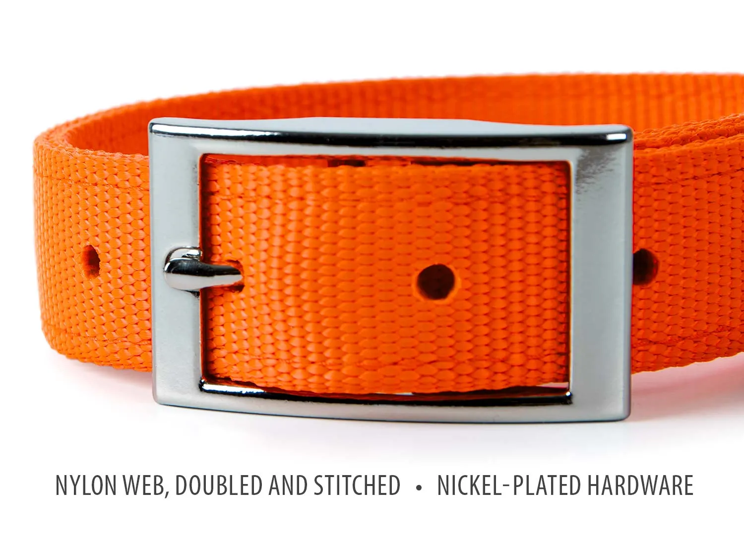 Jeffers 1" Wide Dog Collar, 16"L