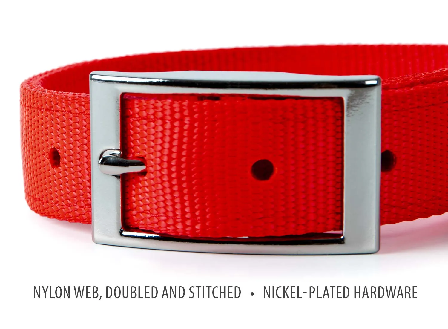 Jeffers 1" Wide Dog Collar, 16"L