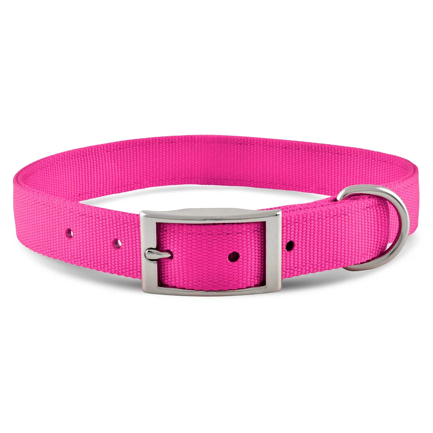 Jeffers 1" Wide Dog Collar, 16"L