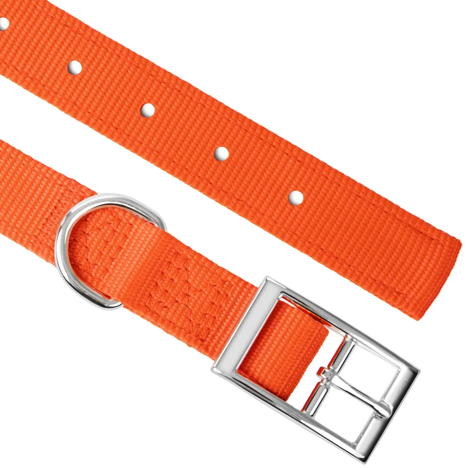 Jeffers 1" Wide Dog Collar, 16"L