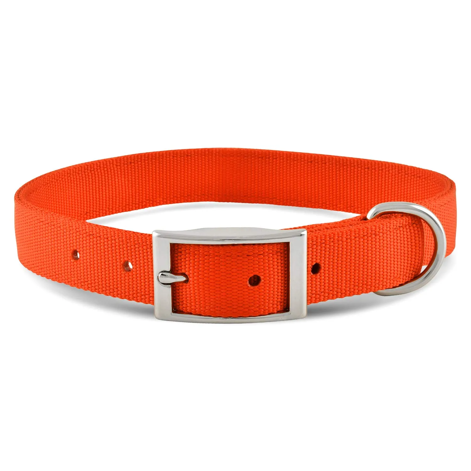Jeffers 1" Wide Dog Collar, 16"L