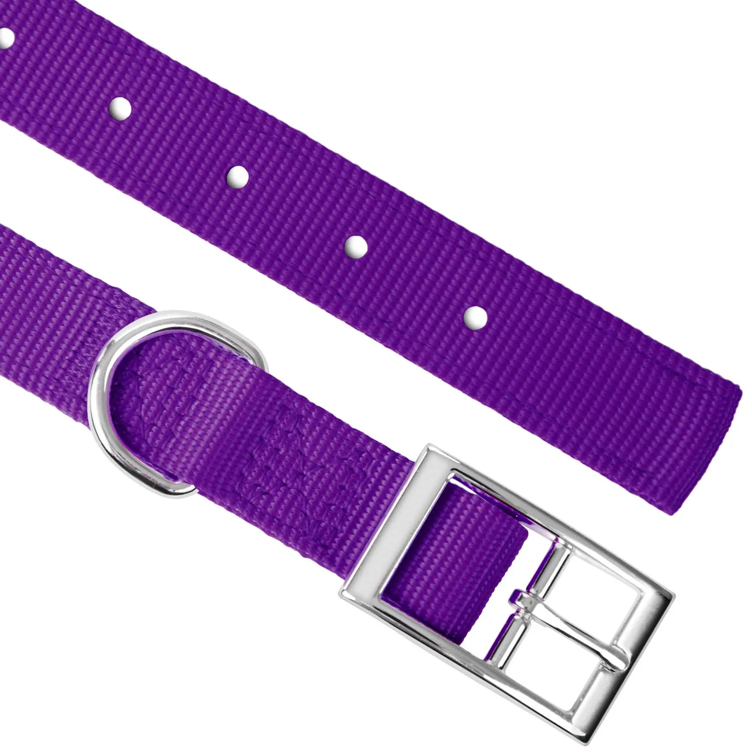 Jeffers 1" Wide Dog Collar, 16"L