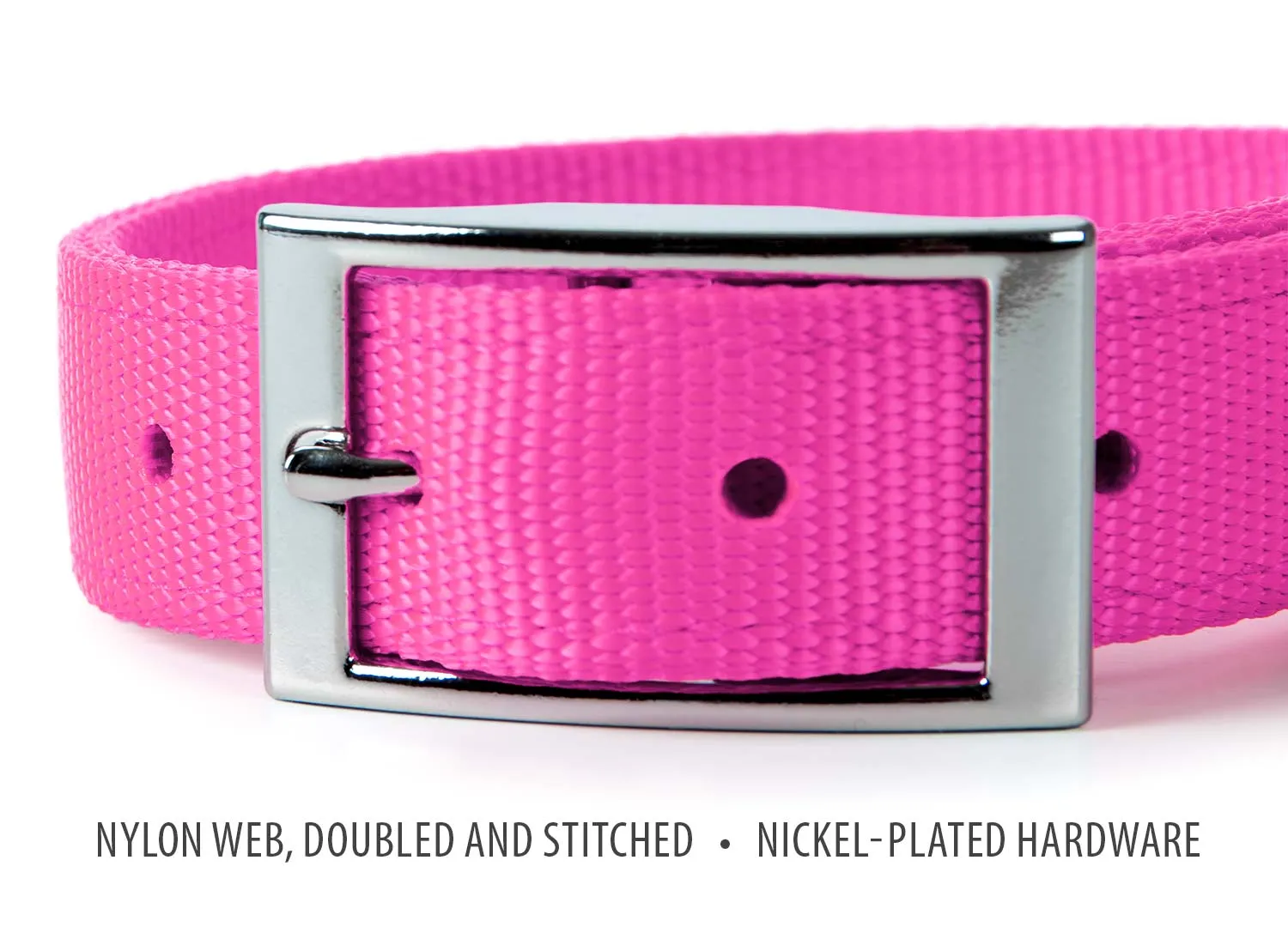 Jeffers 1" Wide Dog Collar, 16"L