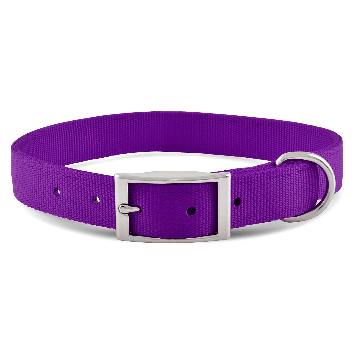 Jeffers 1" Wide Dog Collar, 16"L