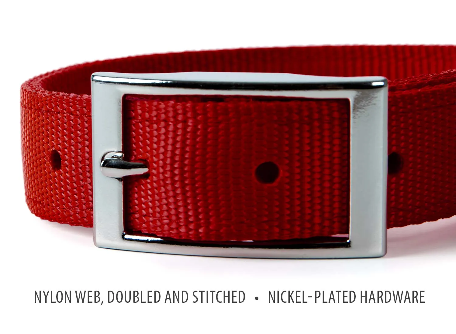 Jeffers 1" Wide Dog Collar, 16"L