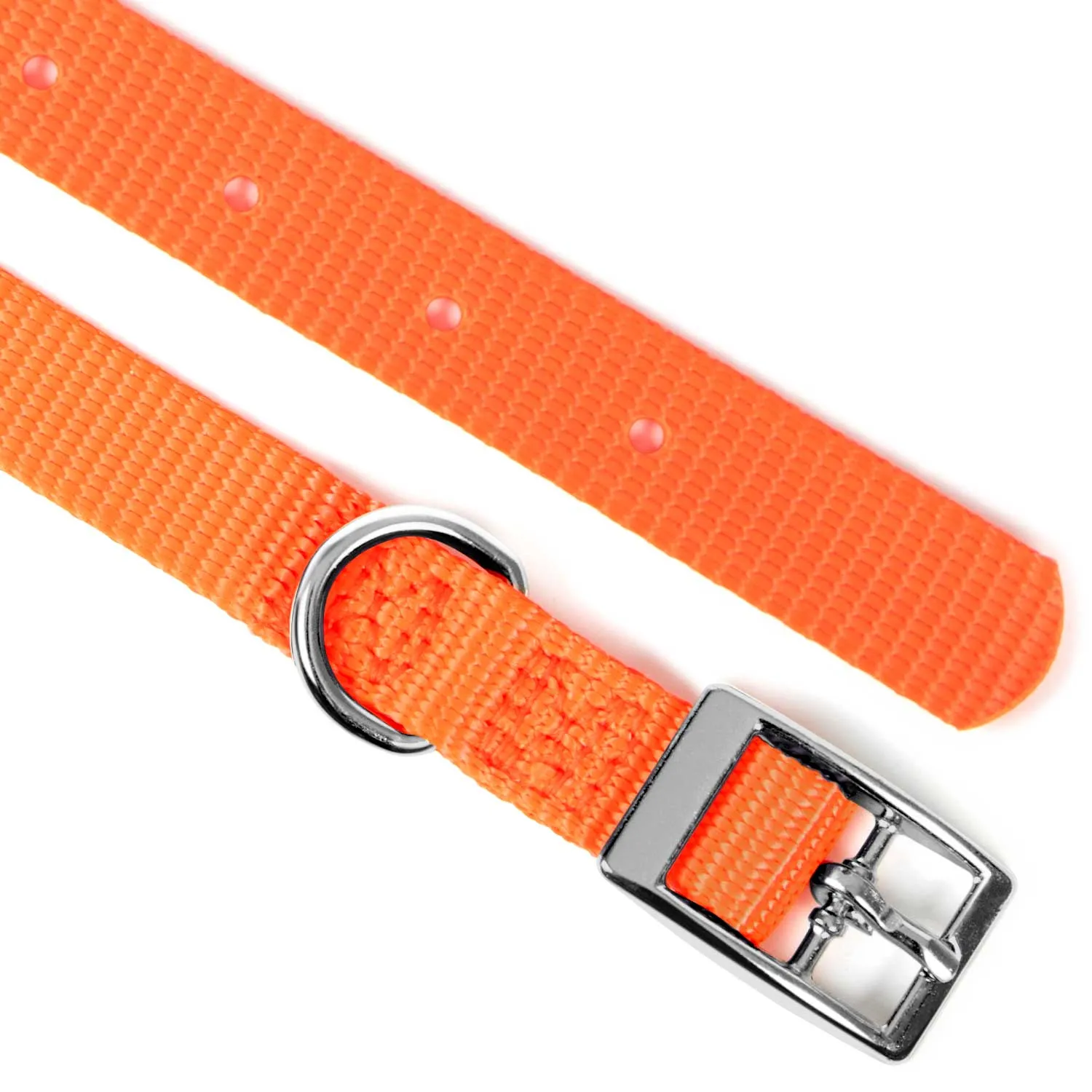 Jeffers Web Nylon Dog Collar, 5/8"W x 10"L