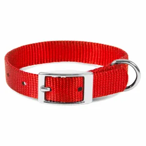 Jeffers Web Nylon Dog Collar, 5/8"W x 10"L