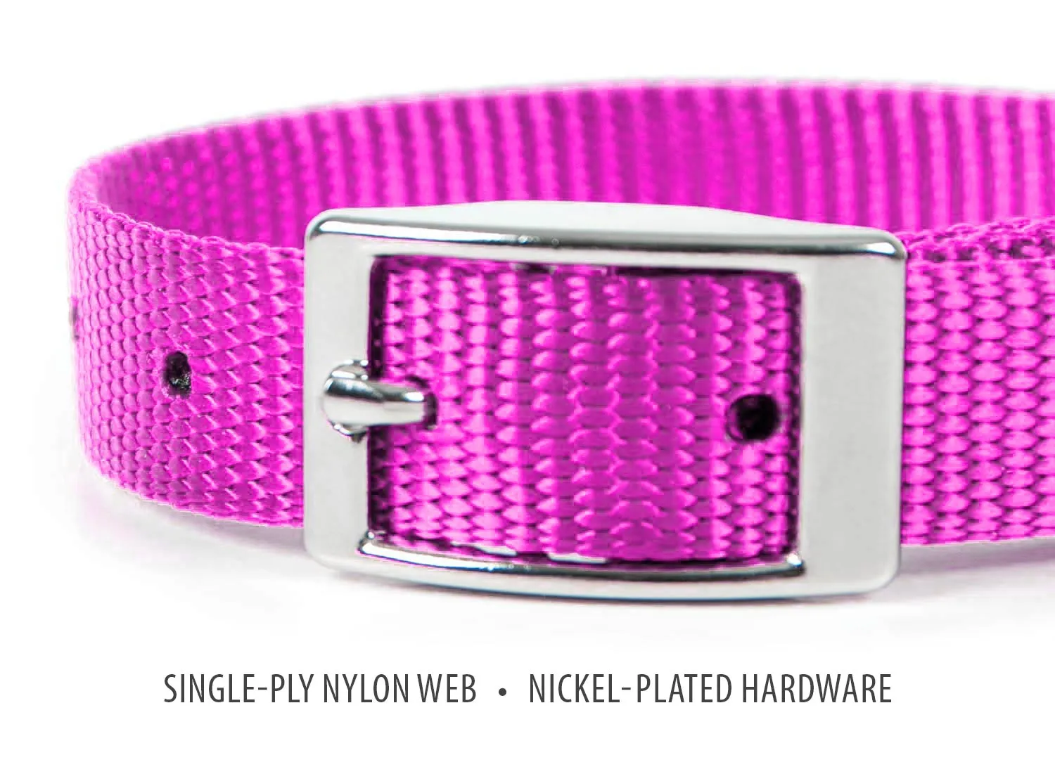 Jeffers Web Nylon Dog Collar, 5/8"W x 10"L