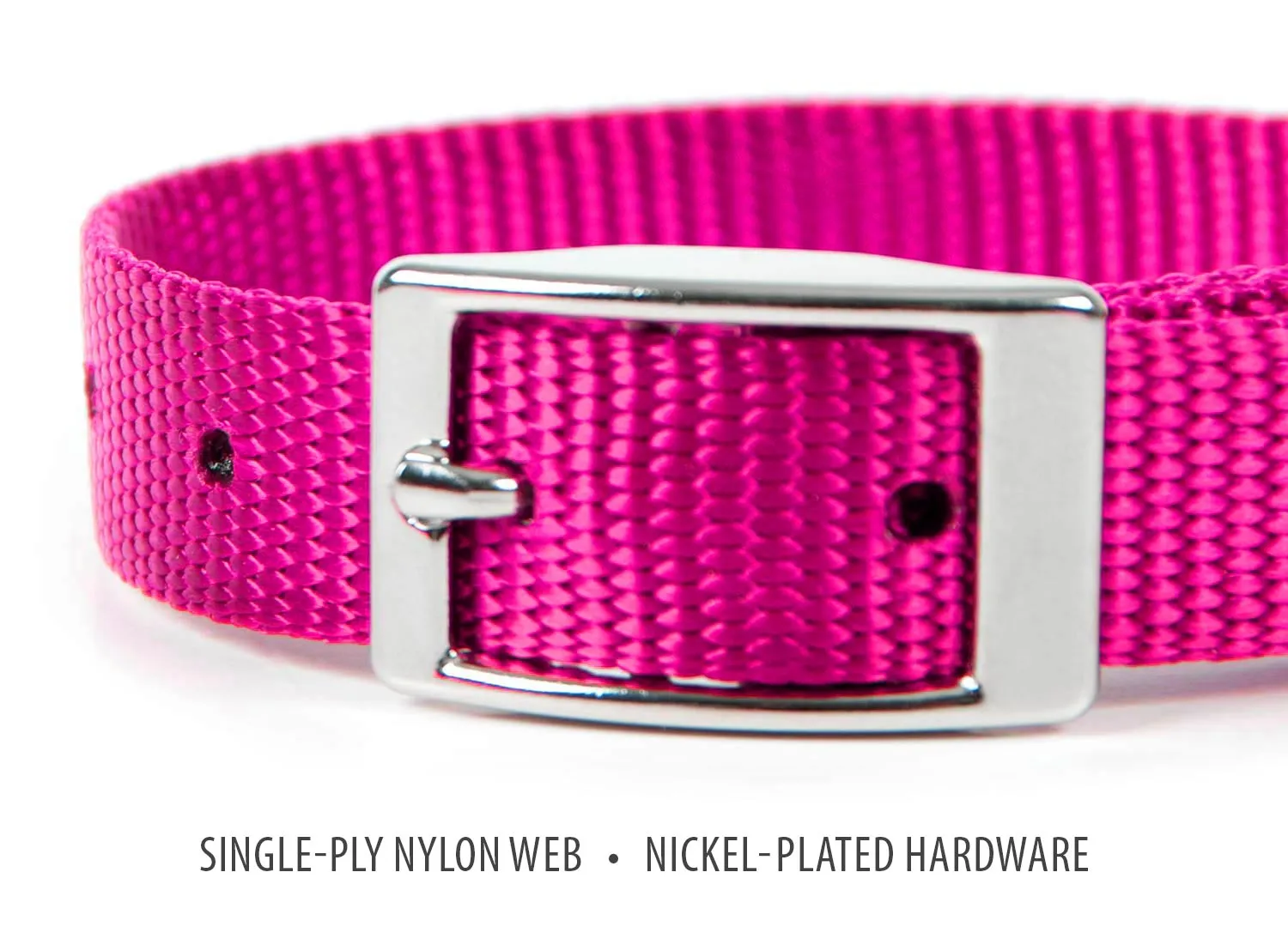 Jeffers Web Nylon Dog Collar, 5/8"W x 10"L