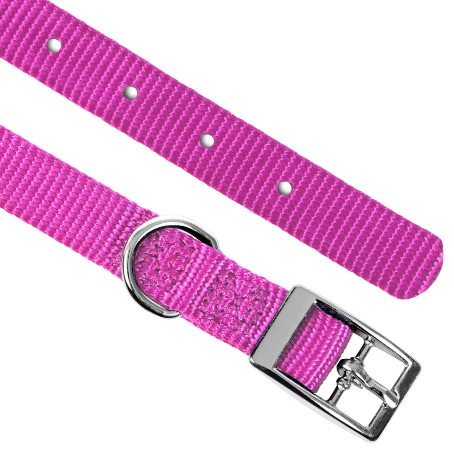 Jeffers Web Nylon Dog Collar, 5/8"W x 10"L