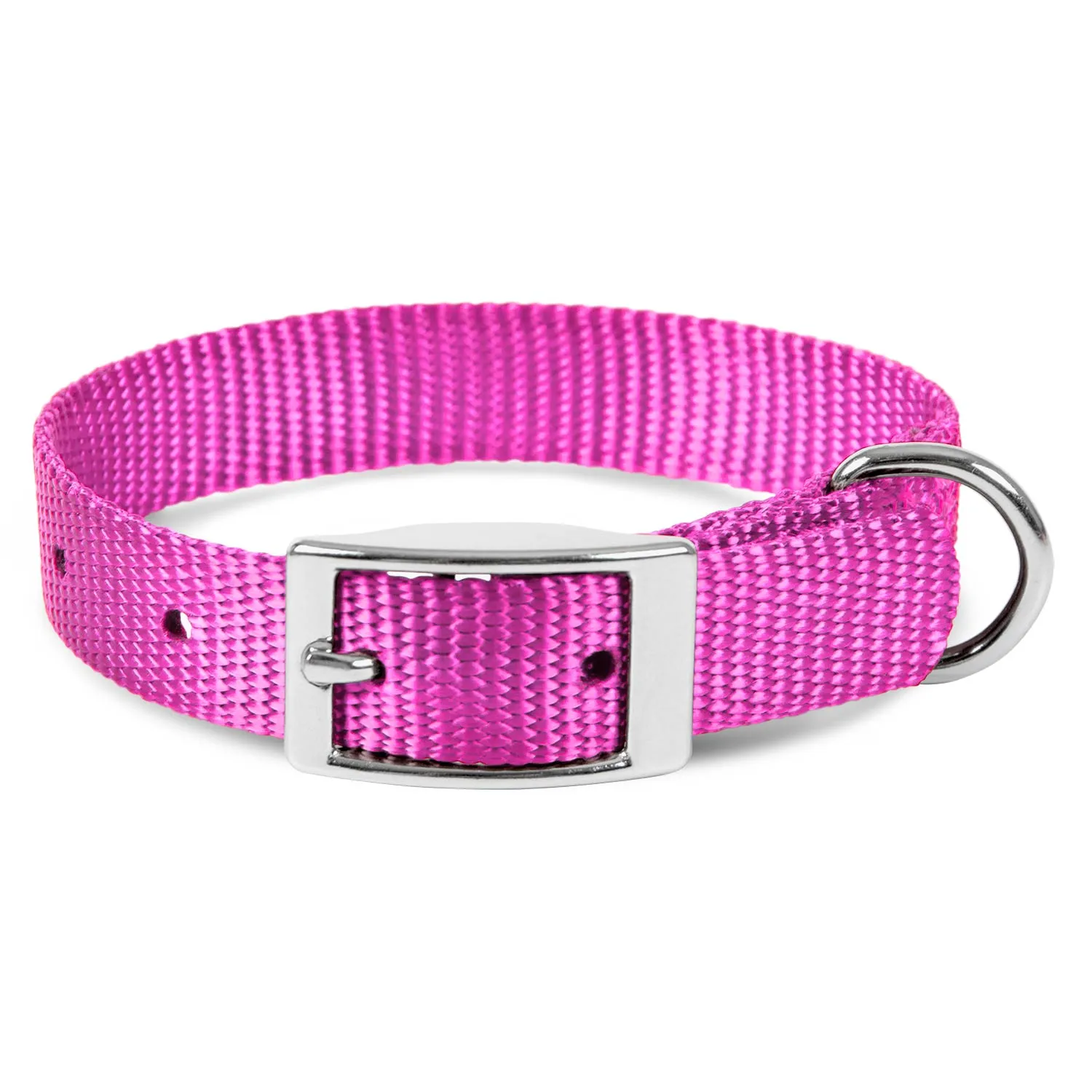 Jeffers Web Nylon Dog Collar, 5/8"W x 10"L