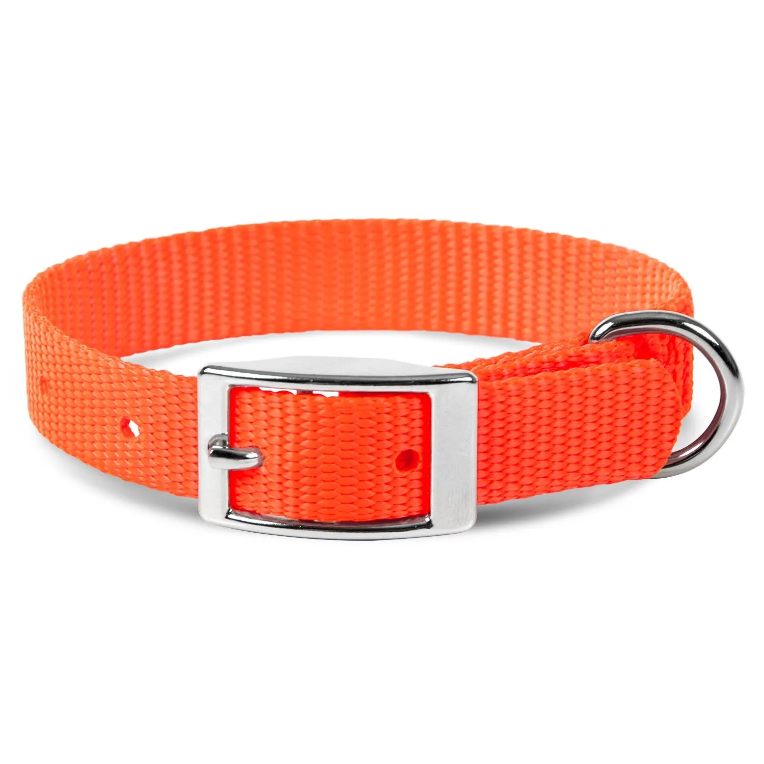 Jeffers Web Nylon Dog Collar, 5/8"W x 10"L
