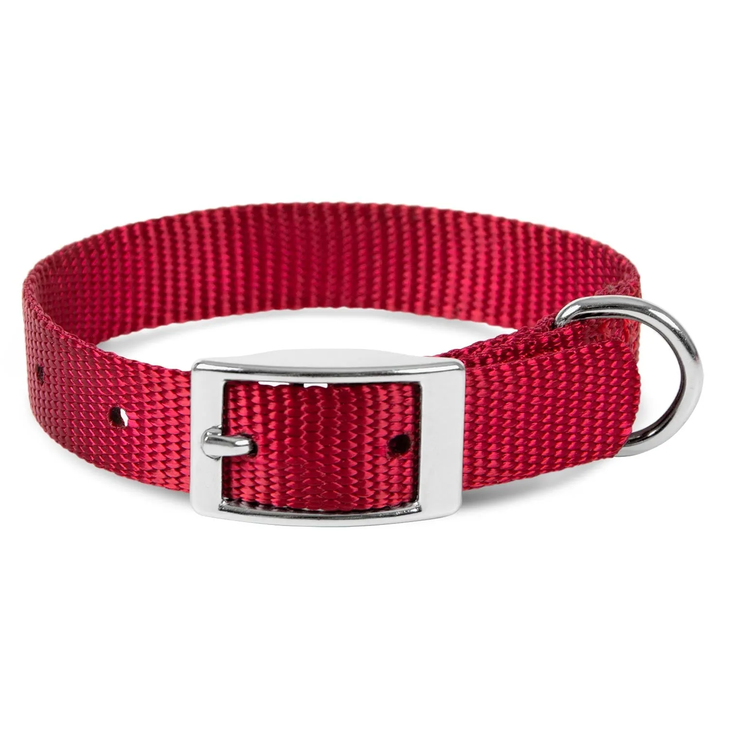 Jeffers Web Nylon Dog Collar, 5/8"W x 10"L