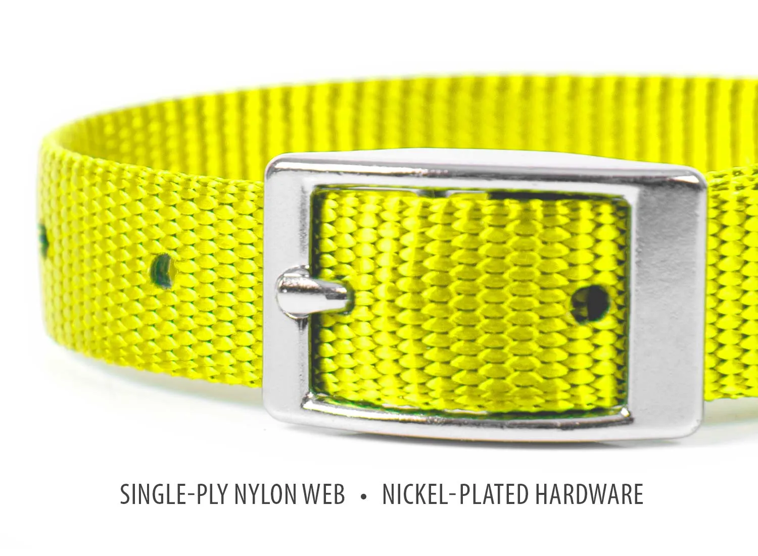 Jeffers Web Nylon Dog Collar, 5/8"W x 10"L