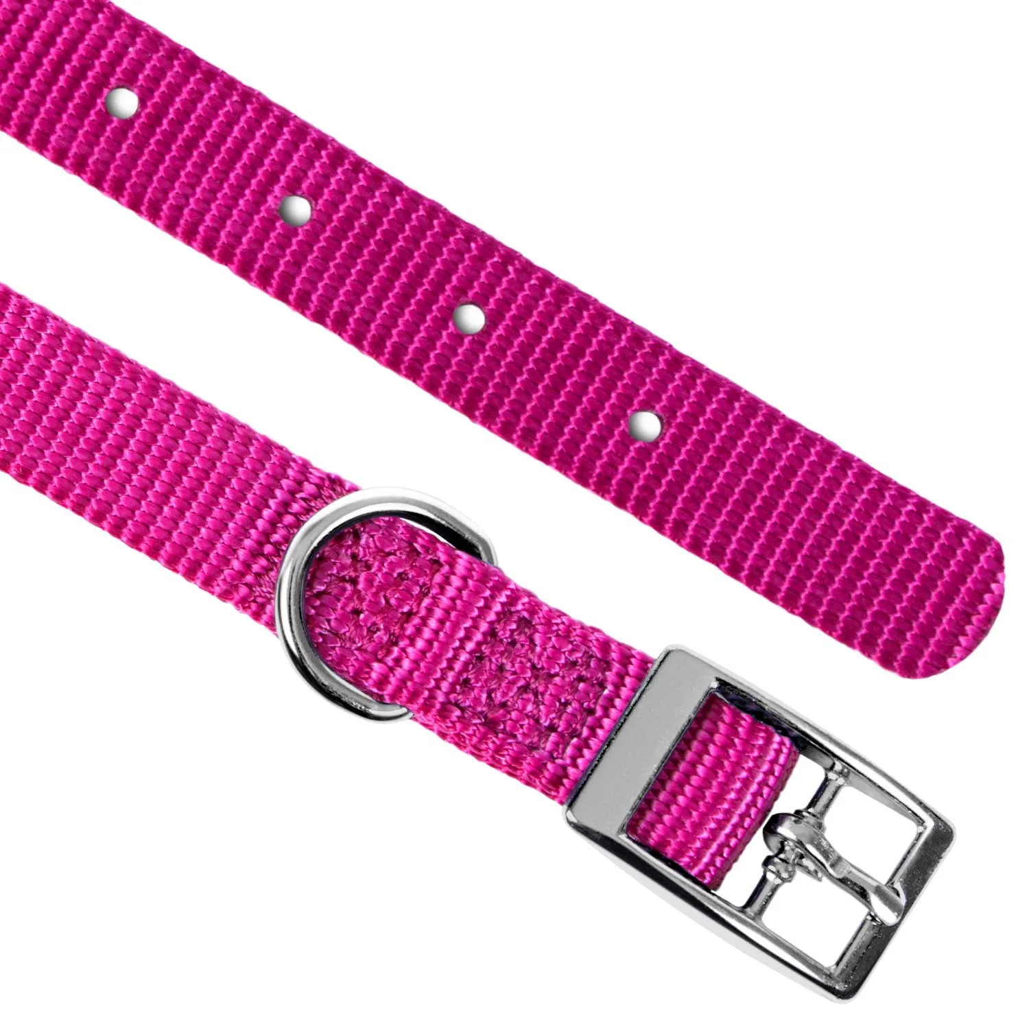 Jeffers Web Nylon Dog Collar, 5/8"W x 10"L