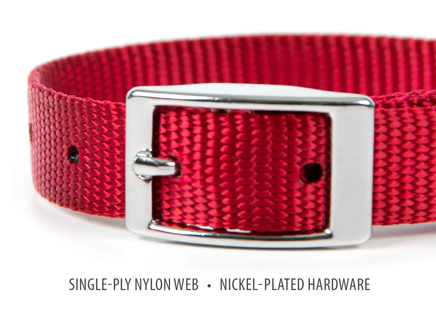 Jeffers Web Nylon Dog Collar, 5/8"W x 10"L