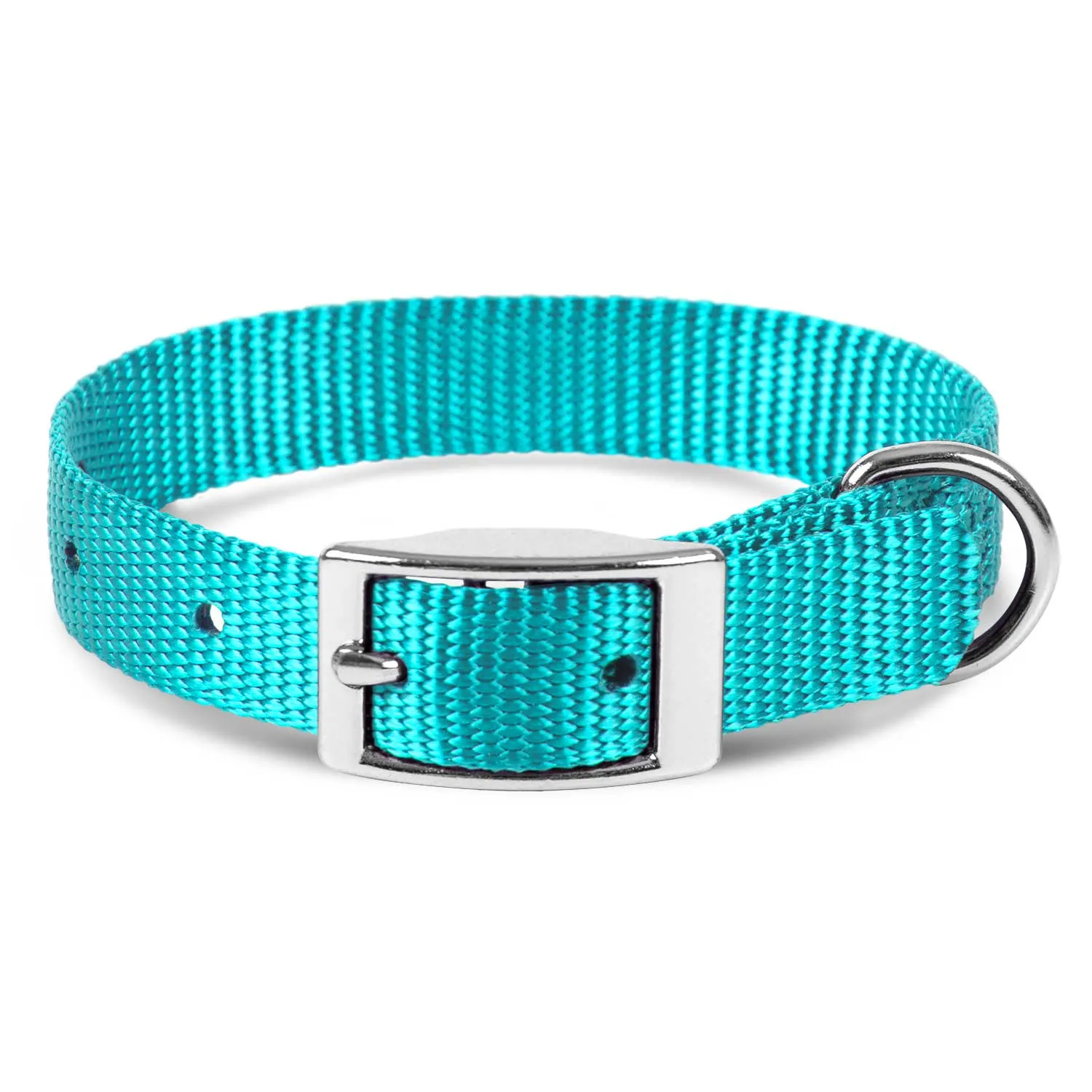 Jeffers Web Nylon Dog Collar, 5/8"W x 10"L