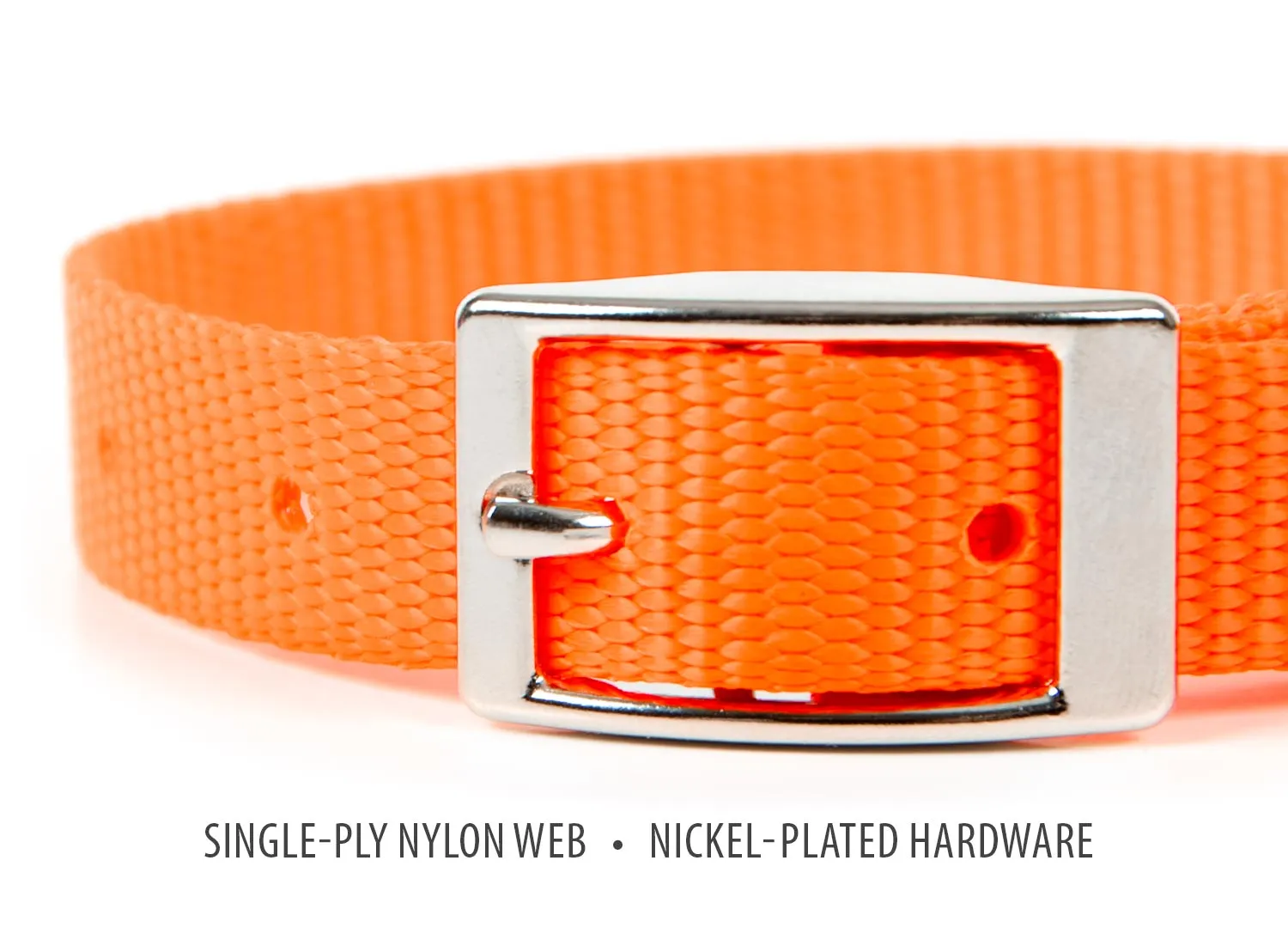 Jeffers Web Nylon Dog Collar, 5/8"W x 10"L