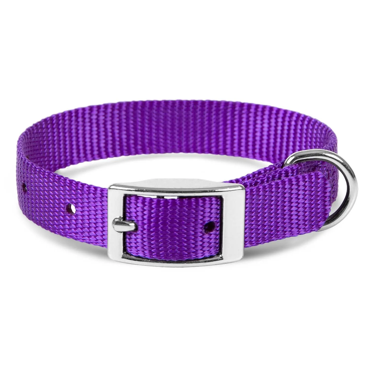 Jeffers Web Nylon Dog Collar, 5/8"W x 10"L