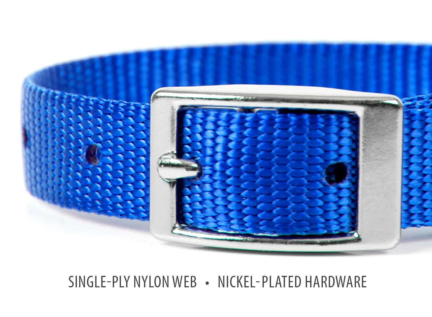 Jeffers Web Nylon Dog Collar, 5/8"W x 10"L