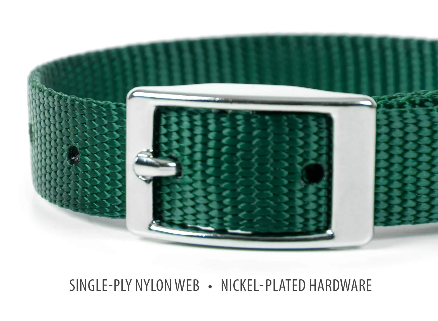 Jeffers Web Nylon Dog Collar, 5/8"W x 10"L