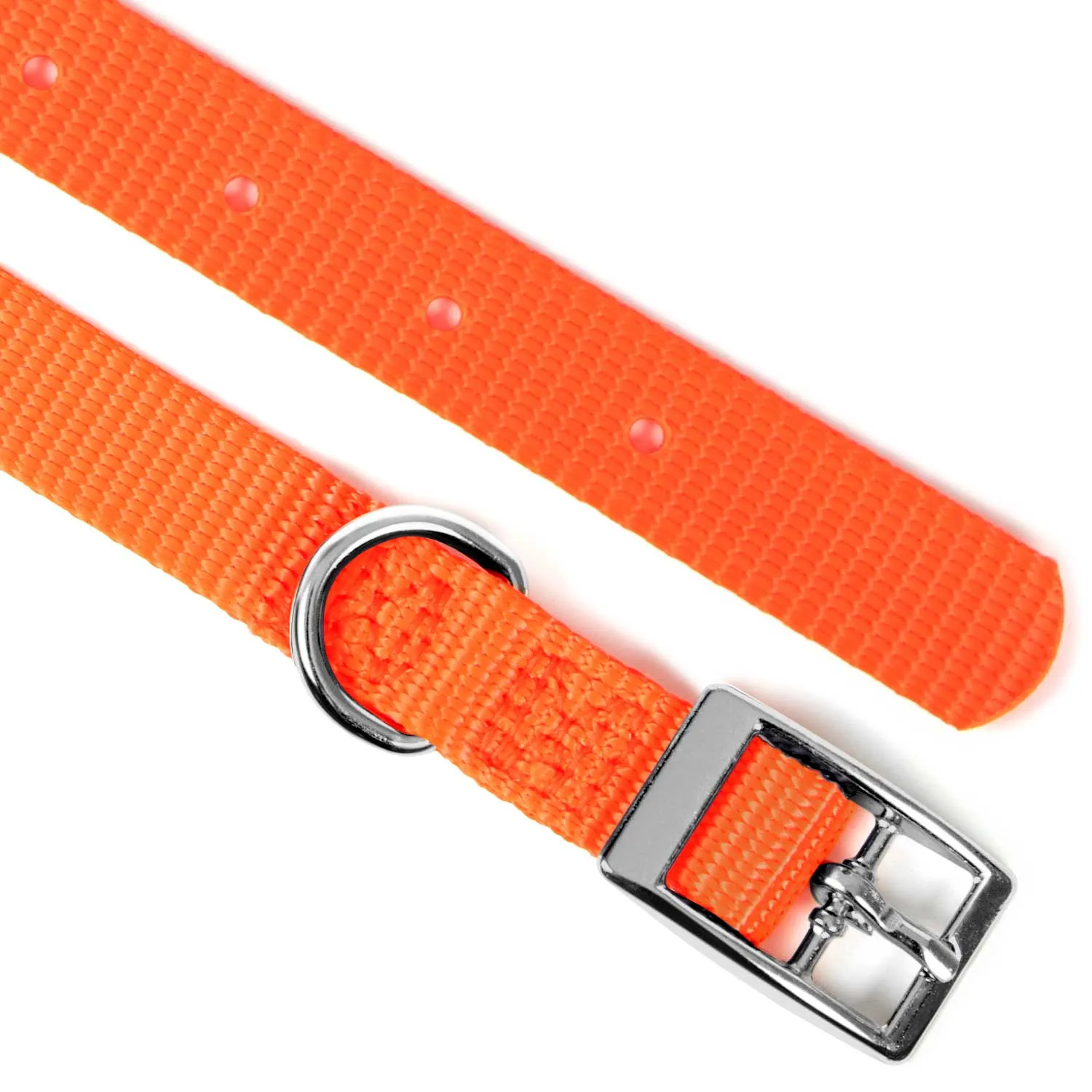 Jeffers Web Nylon Dog Collar, 5/8"W x 10"L