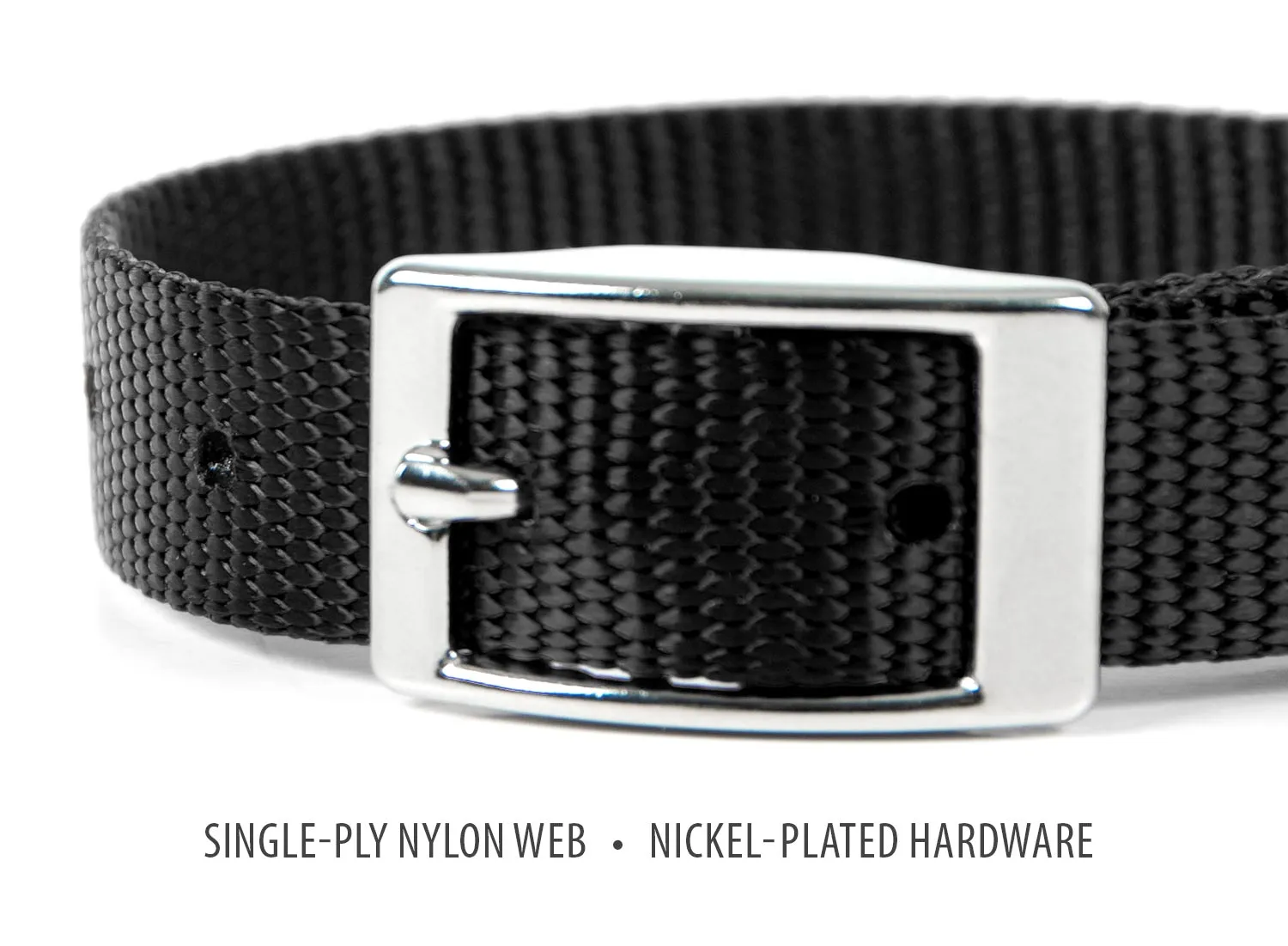 Jeffers Web Nylon Dog Collar, 5/8"W x 10"L