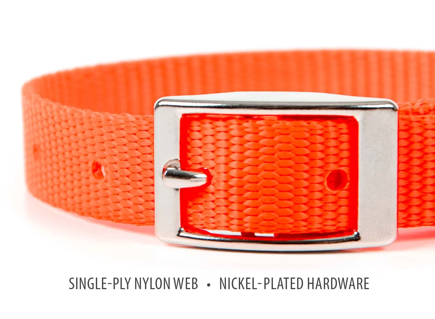 Jeffers Web Nylon Dog Collar, 5/8"W x 10"L