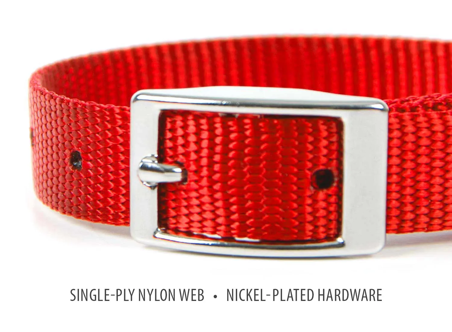 Jeffers Web Nylon Dog Collar, 5/8"W x 10"L