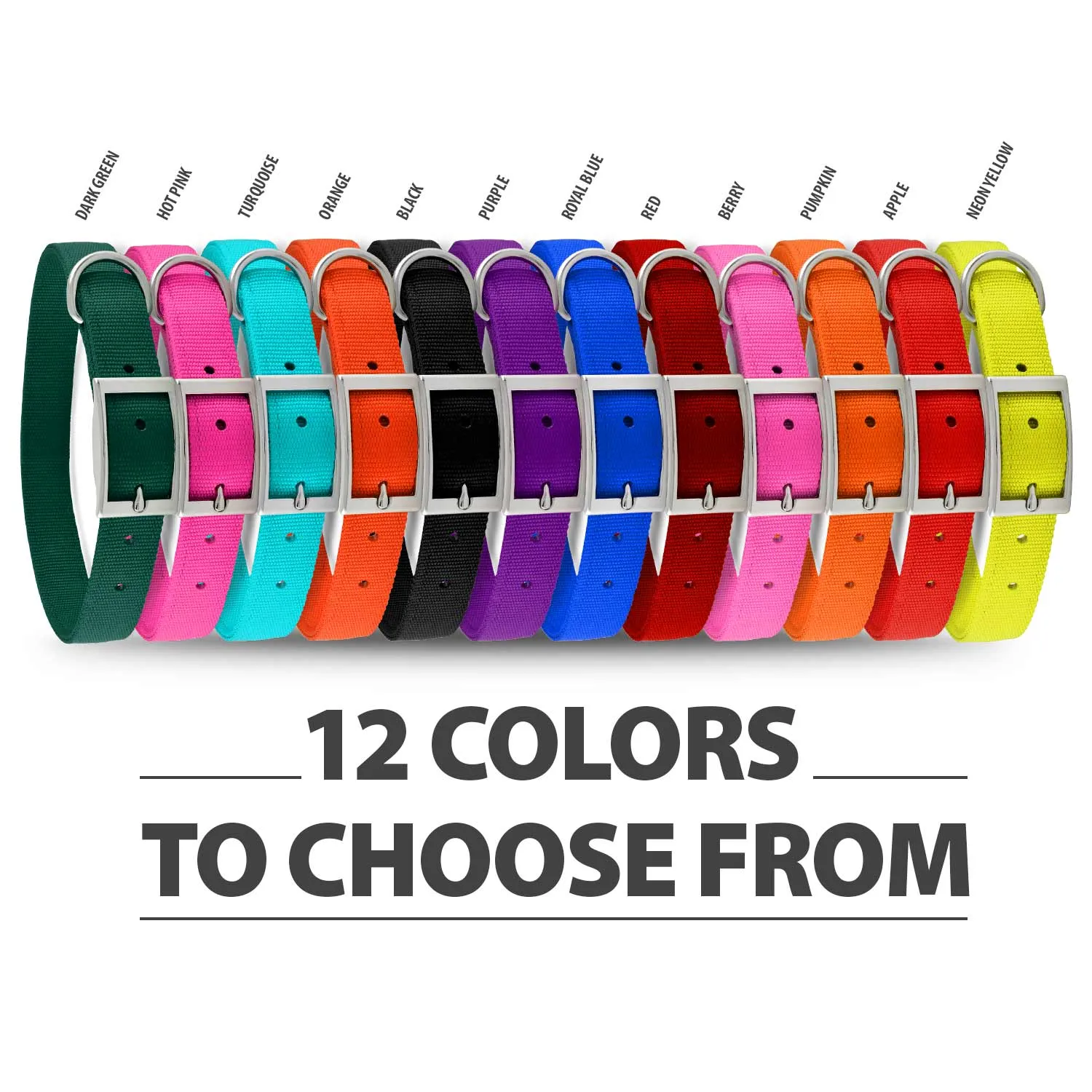 Jeffers Web Nylon Dog Collar, 5/8"W x 10"L