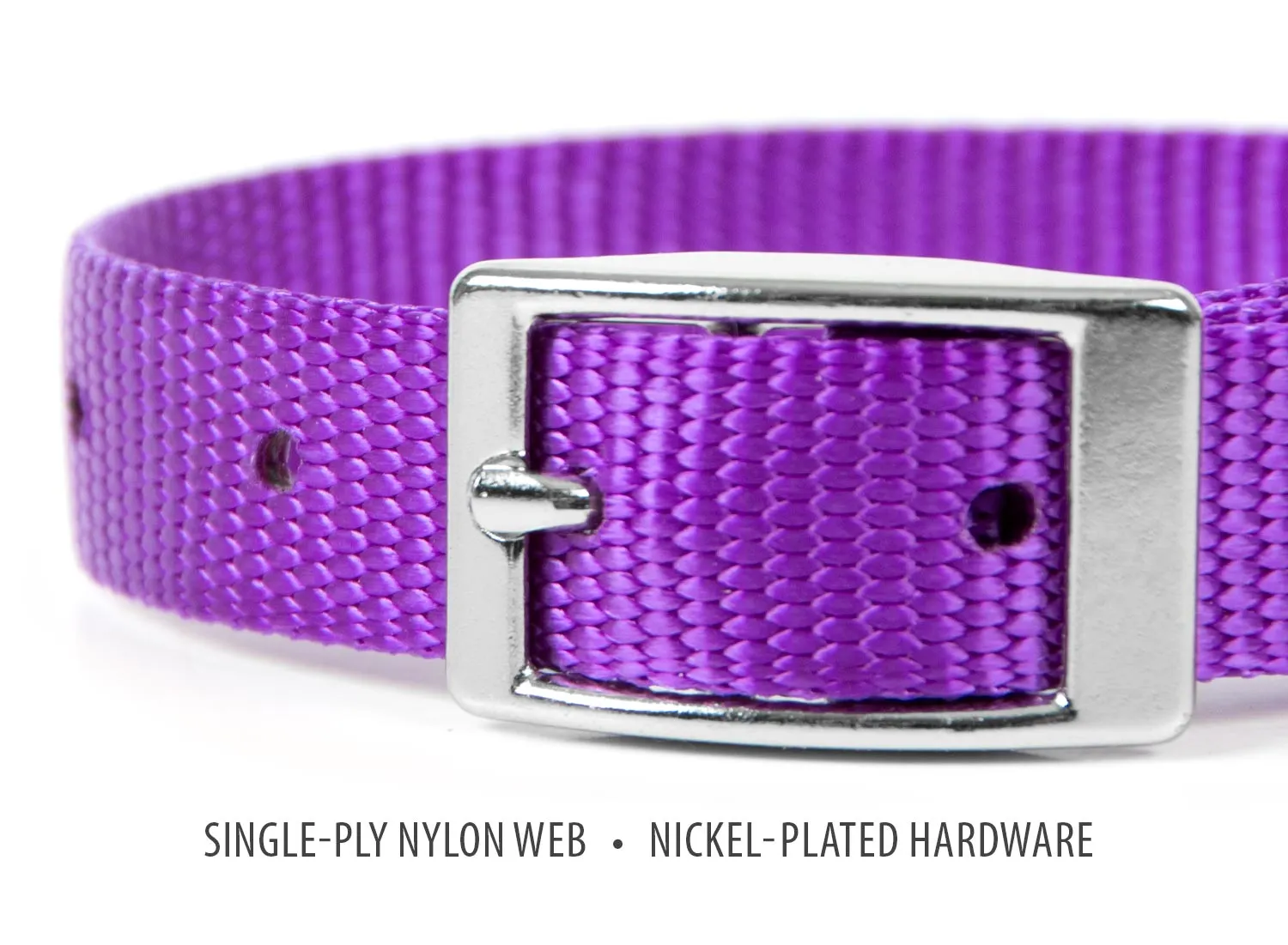 Jeffers Web Nylon Dog Collar, 5/8"W x 10"L