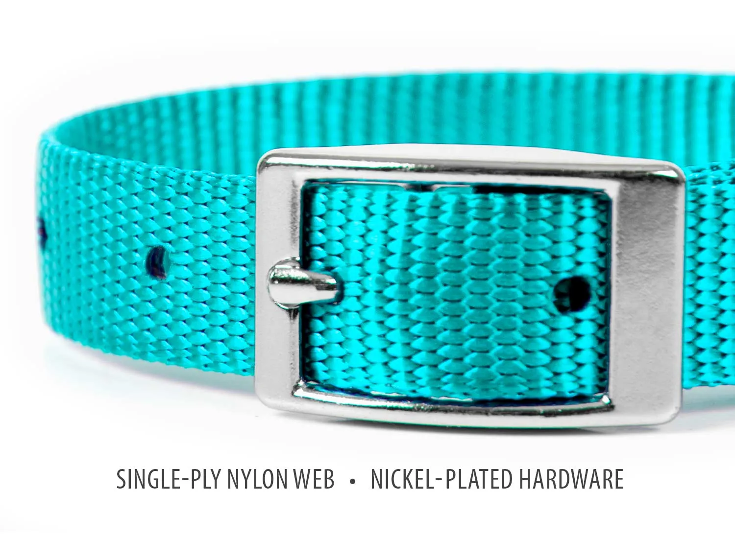 Jeffers Web Nylon Dog Collar, 5/8"W x 10"L
