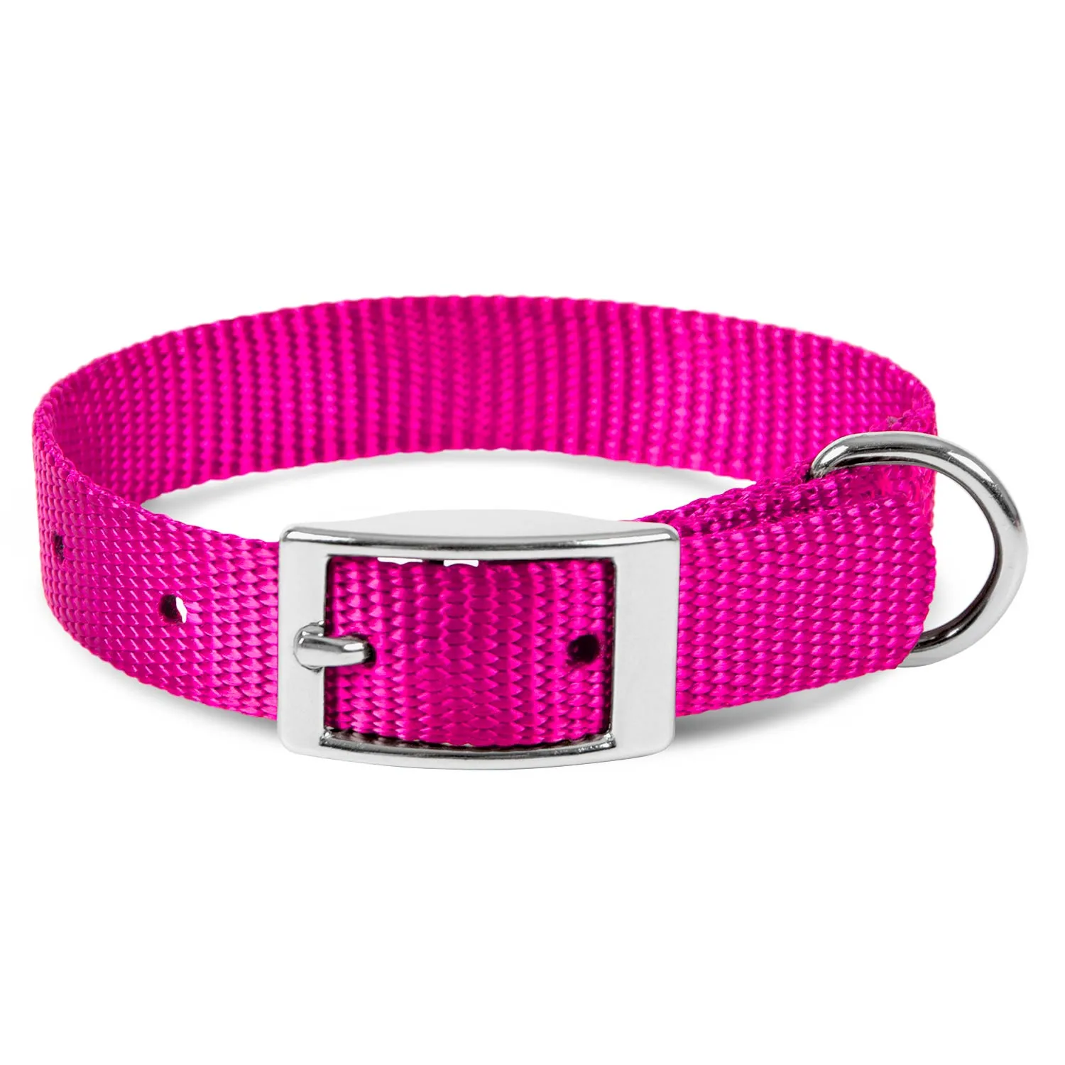 Jeffers Web Nylon Dog Collar, 5/8"W x 10"L
