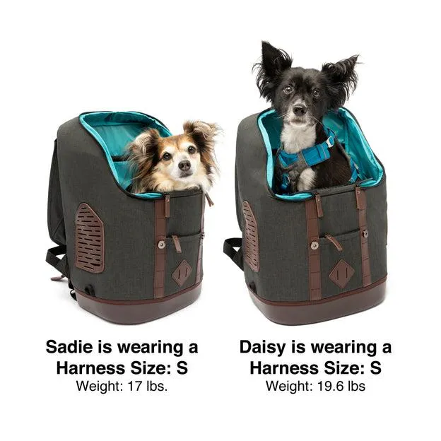 Kurgo K9 Rucksack - Heather Black